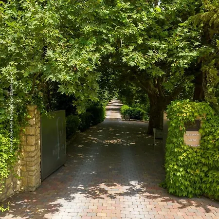 Ferrero - Singular's